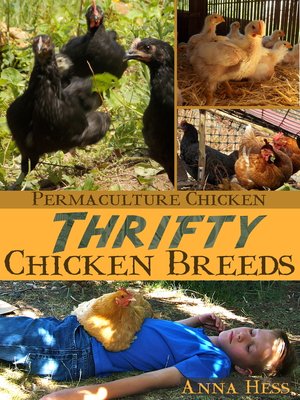 cover image of Thrifty Chicken Breeds